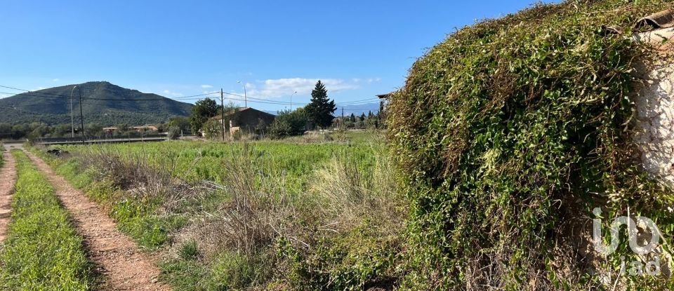 Terrain de 3 688 m² à Amposta (43870)