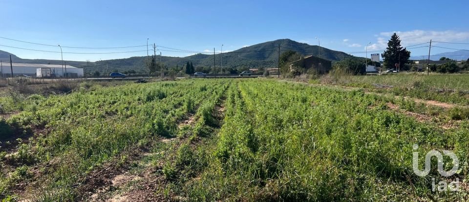 Terrain de 3 688 m² à Amposta (43870)