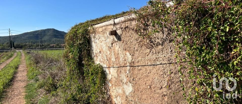 Terrain de 3 688 m² à Amposta (43870)