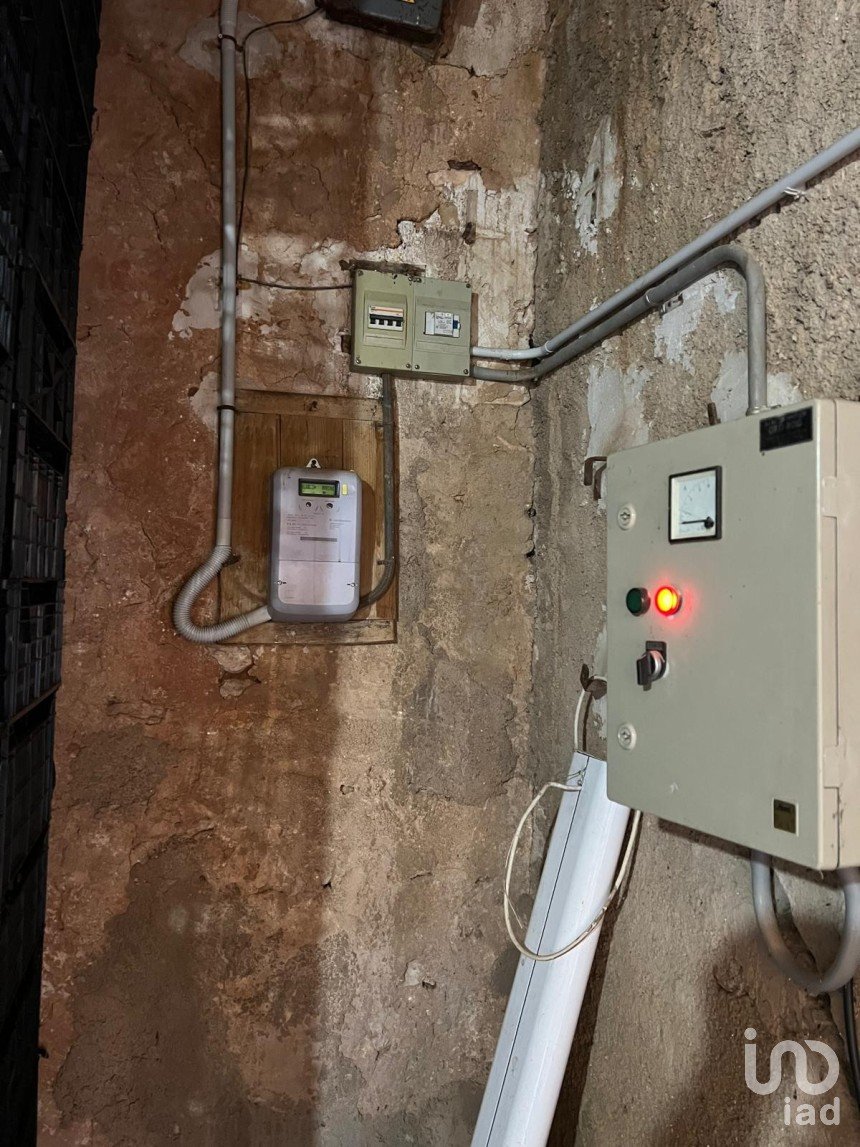 Terrain de 3 688 m² à Amposta (43870)