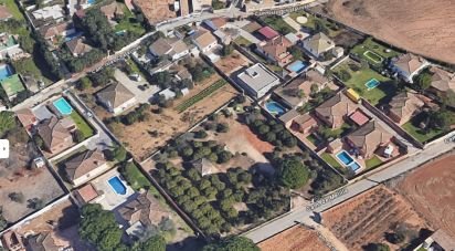 Terreny de 3.000 m² a Chiclana de la Frontera (11130)