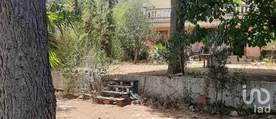 Terreny urbà de 1.200 m² a La Bisbal del Penedès (43717)