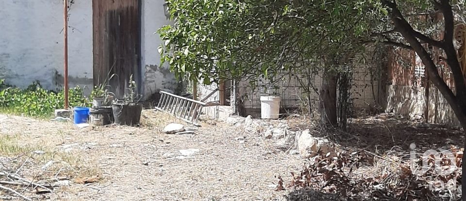 Terreny urbà de 1.200 m² a La Bisbal del Penedès (43717)