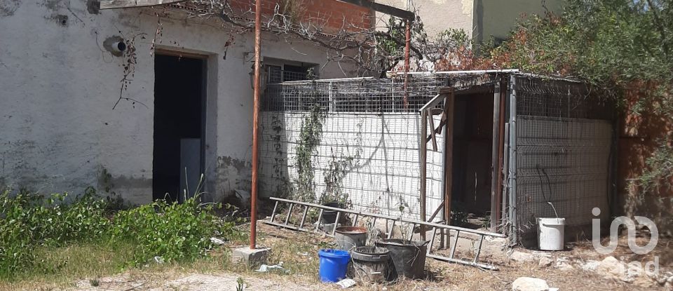 Terreny urbà de 1.200 m² a La Bisbal del Penedès (43717)