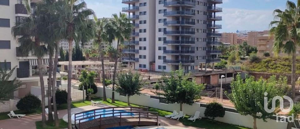 Piso 2 habitaciones de 125 m² en Oropesa/Oropesa del Mar (12594)