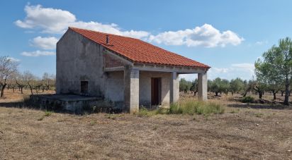 Land of 11,078 m² in L'Atmella de Mar (43860)