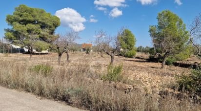 Land of 11,078 m² in L'Atmella de Mar (43860)