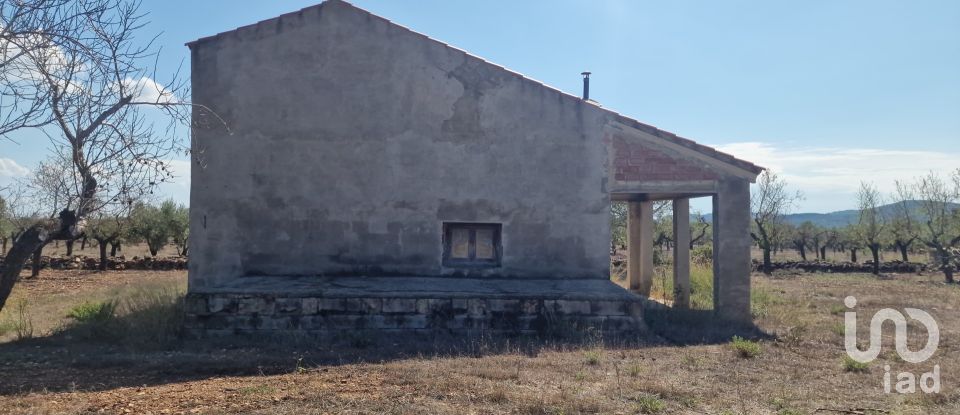 Land of 11,078 m² in L'Atmella de Mar (43860)