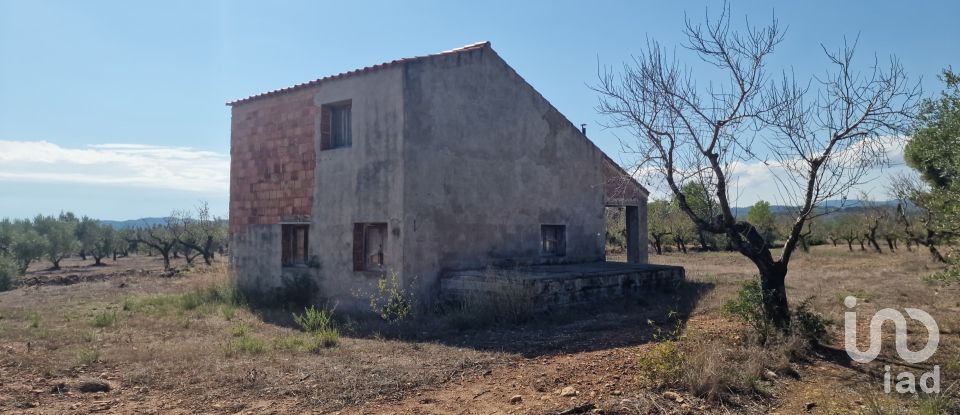 Land of 11,078 m² in L'Atmella de Mar (43860)