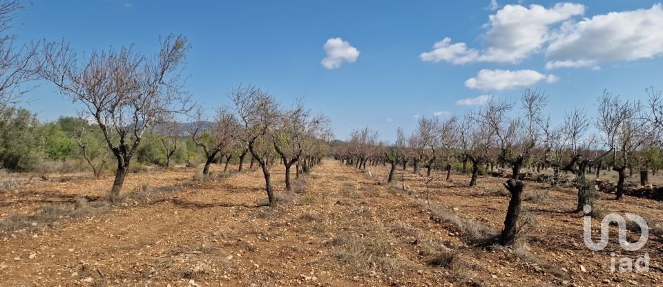 Land of 11,078 m² in L'Atmella de Mar (43860)