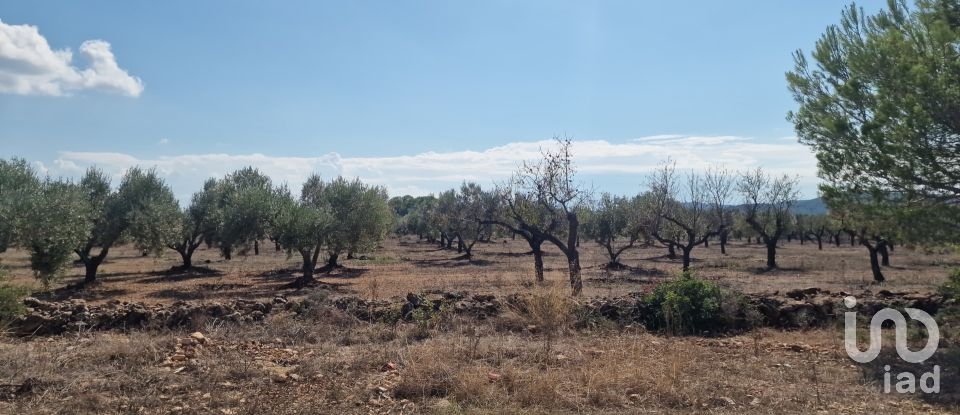 Land of 11,078 m² in L'Atmella de Mar (43860)