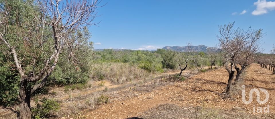 Land of 11,078 m² in L'Atmella de Mar (43860)