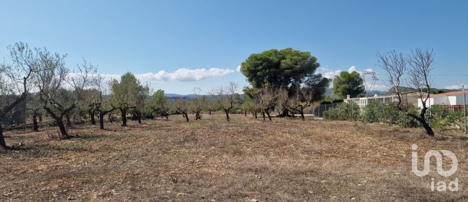 Land of 11,078 m² in L'Atmella de Mar (43860)