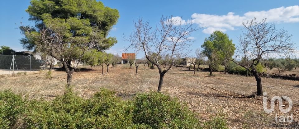 Land of 11,078 m² in L'Atmella de Mar (43860)