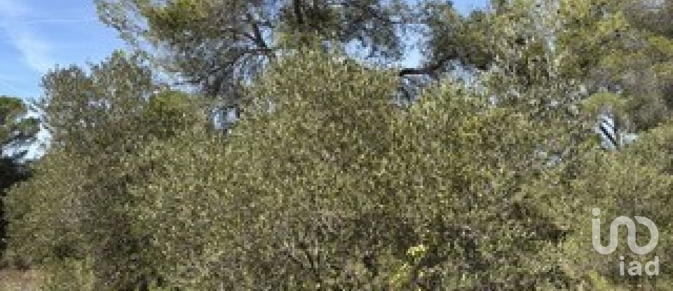 Farm land of 5,849 m² in Vallmoll (43144)