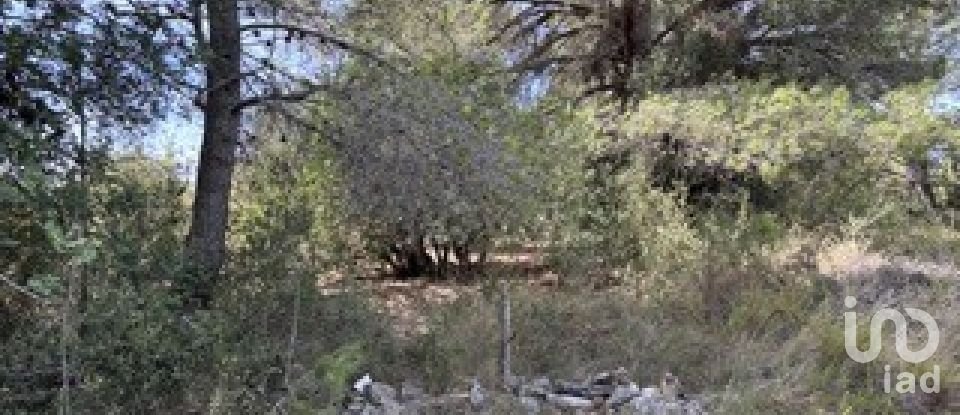 Farm land of 5,849 m² in Vallmoll (43144)