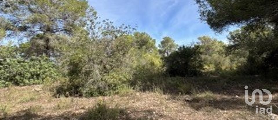 Farm land of 5,849 m² in Vallmoll (43144)