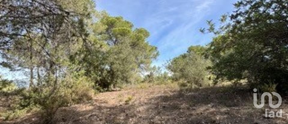 Farm land of 5,849 m² in Vallmoll (43144)