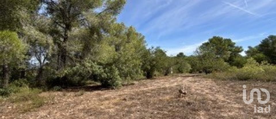 Farm land of 5,849 m² in Vallmoll (43144)
