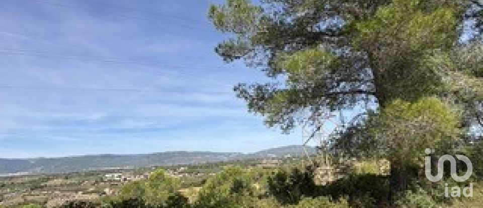 Farm land of 5,849 m² in Vallmoll (43144)