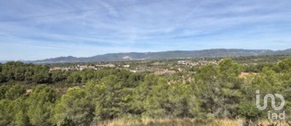 Farm land of 5,849 m² in Vallmoll (43144)