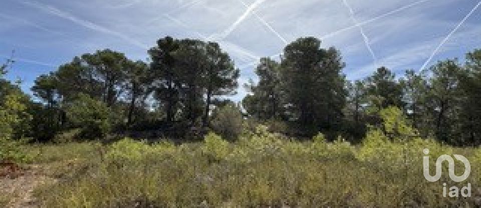 Farm land of 5,849 m² in Vallmoll (43144)