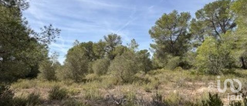Farm land of 5,849 m² in Vallmoll (43144)