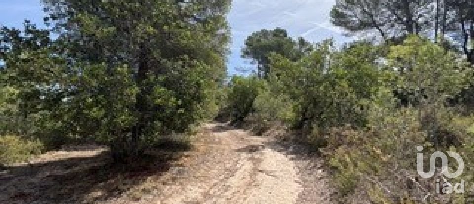 Farm land of 5,849 m² in Vallmoll (43144)