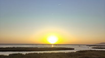 Tienda / local comercial de 200 m² en Tarifa (11380)