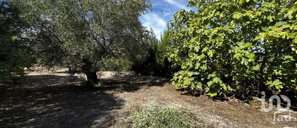 Casa rústica 4 habitaciones de 166 m² en Agullent (46890)