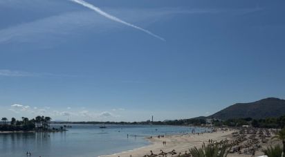 Studio 0 bedrooms of 44 m² in Alcúdia (07400)