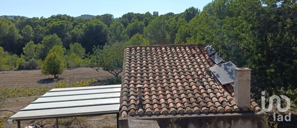 Land of 34,000 m² in L'Ametlla de Mar (43860)