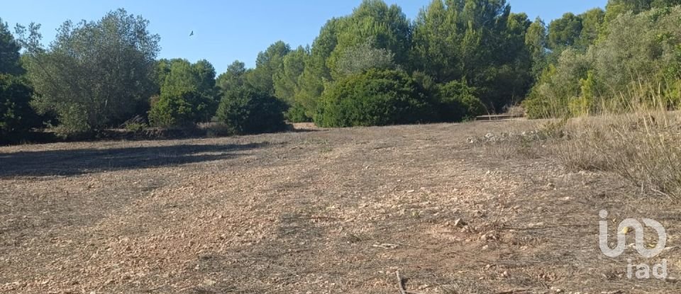 Land of 34,000 m² in L'Ametlla de Mar (43860)