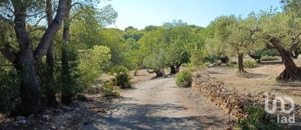 Land of 34,000 m² in L'Ametlla de Mar (43860)