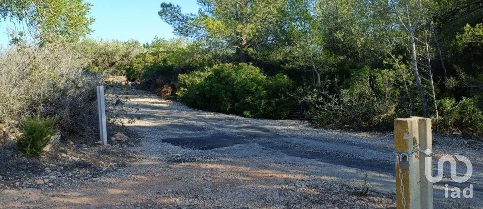 Land of 34,000 m² in L'Ametlla de Mar (43860)