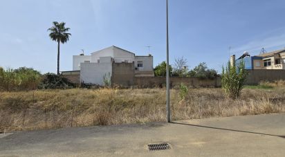 Terreno urbano de 240 m² en Sanlúcar de Barrameda (11540)