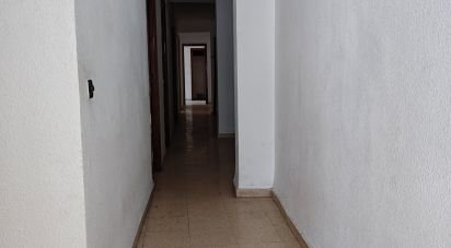 Piso 4 habitaciones de 111 m² en Oliva (46780)