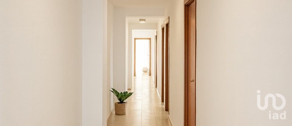 Piso 4 habitaciones de 111 m² en Oliva (46780)