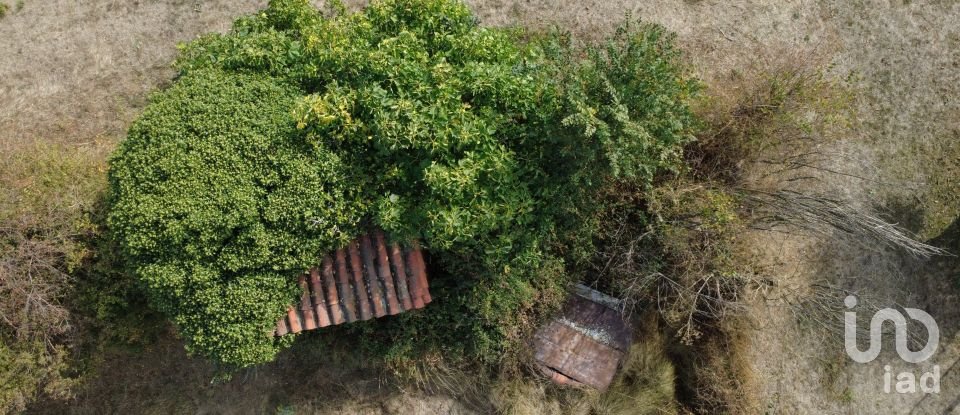 Terreno de 1.002 m² en San Andrés del Rabanedo (24010)