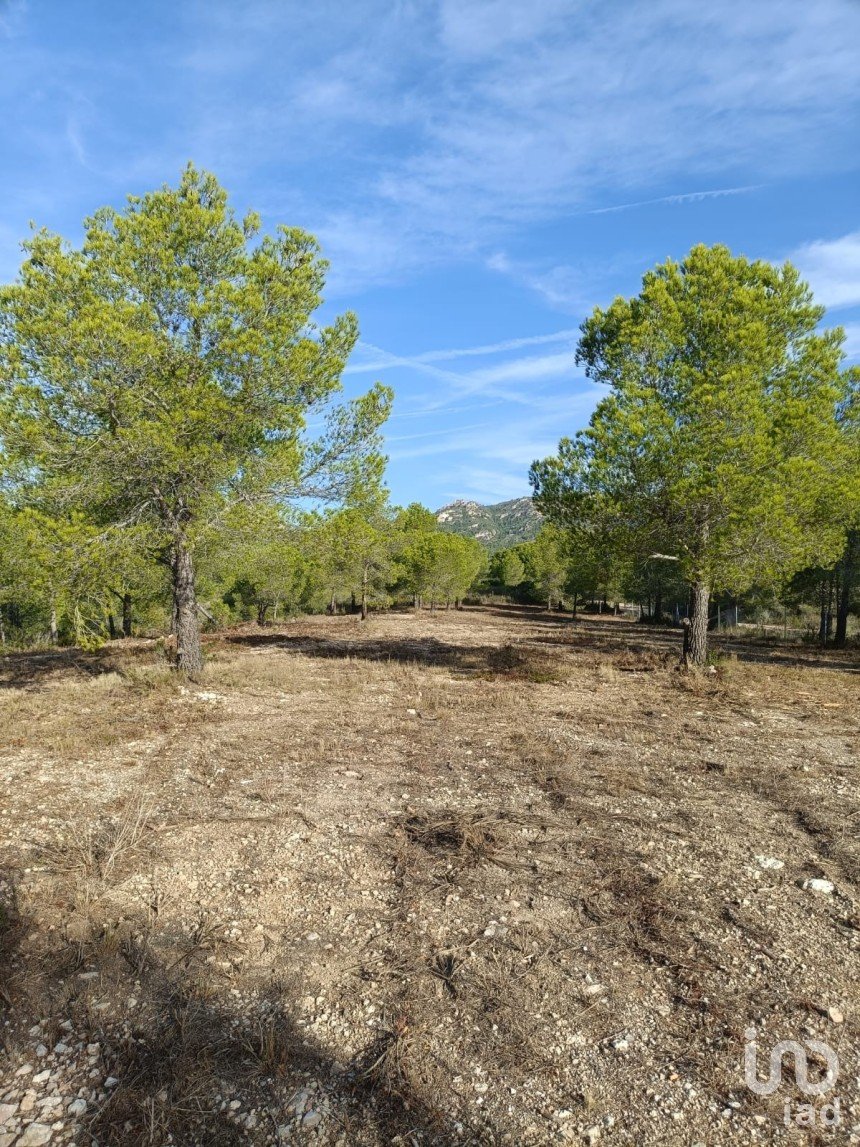 Land of 15,000 m² in L'Ametlla de Mar (43860)