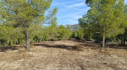 Terreny de 15.000 m² a L'Ametlla de Mar (43860)