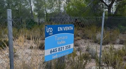 Land of 15,000 m² in L'Ametlla de Mar (43860)