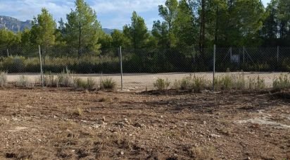 Land of 15,000 m² in L'Ametlla de Mar (43860)