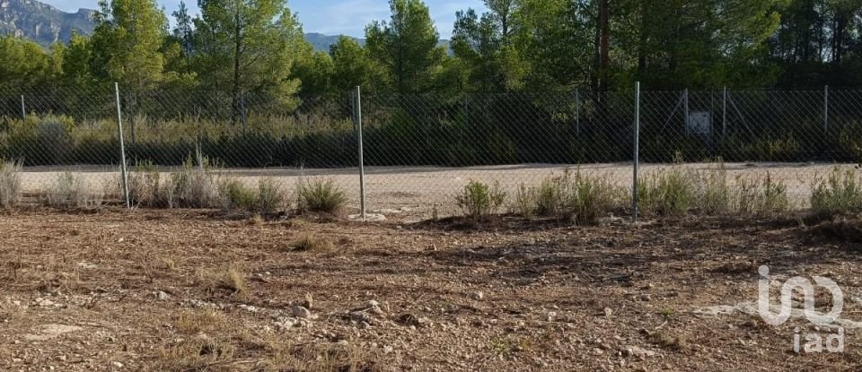 Land of 15,000 m² in L'Ametlla de Mar (43860)