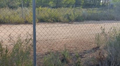 Land of 15,000 m² in L'Ametlla de Mar (43860)