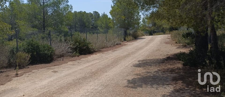 Land of 15,000 m² in L'Ametlla de Mar (43860)