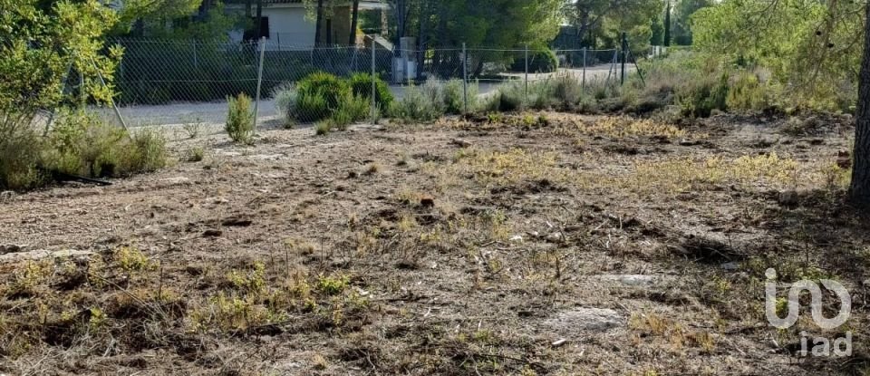 Land of 15,000 m² in L'Ametlla de Mar (43860)