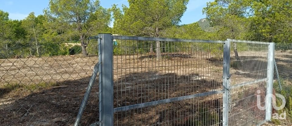 Land of 15,000 m² in L'Ametlla de Mar (43860)