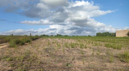 Terreno de 3.163 m² en Manacor (07500)