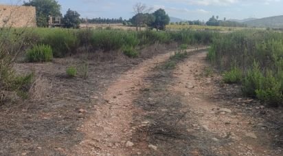 Terreny de 3.163 m² a Manacor (07500)